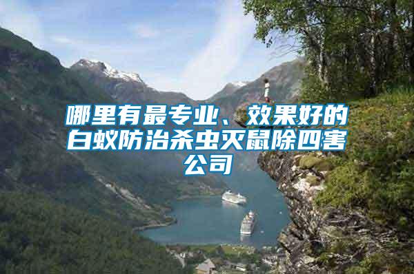 哪里有最專業(yè)、效果好的白蟻防治殺蟲滅鼠除四害公司