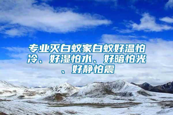 專業(yè)滅白蟻家白蟻好溫怕冷、好濕怕水、好暗怕光、好靜怕震