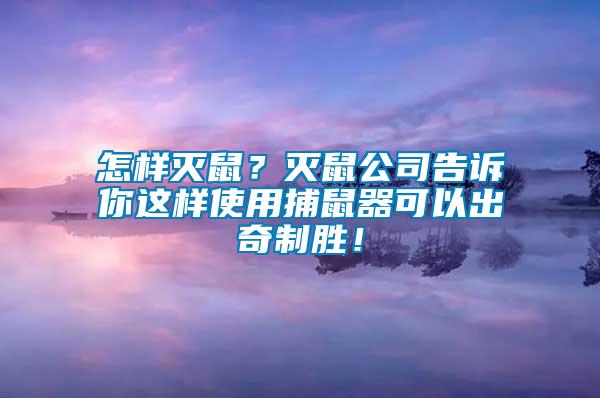 怎樣滅鼠？滅鼠公司告訴你這樣使用捕鼠器可以出奇制勝！