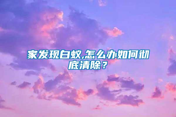 家發(fā)現白蟻,怎么辦如何徹底清除？