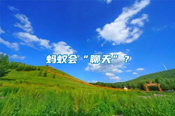 螞蟻會“聊天”？