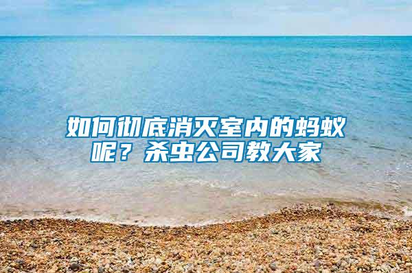 如何徹底消滅室內(nèi)的螞蟻呢？殺蟲公司教大家