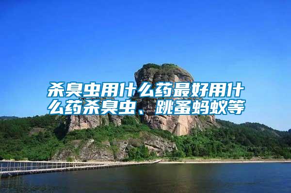 殺臭蟲用什么藥最好用什么藥殺臭蟲、跳蚤螞蟻等