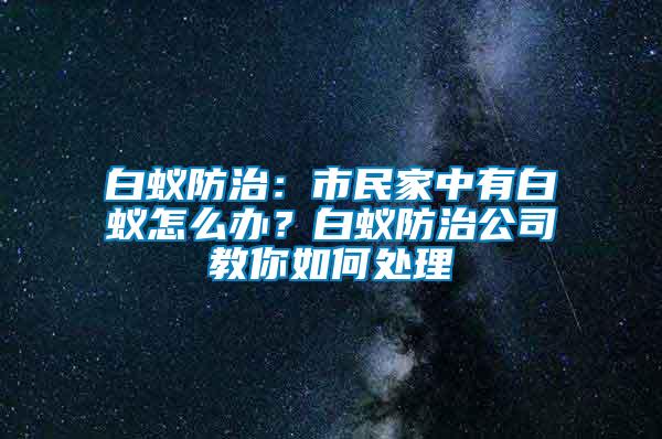 白蟻防治：市民家中有白蟻怎么辦？白蟻防治公司教你如何處理