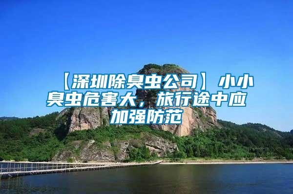 【深圳除臭蟲公司】小小臭蟲危害大，旅行途中應(yīng)加強(qiáng)防范