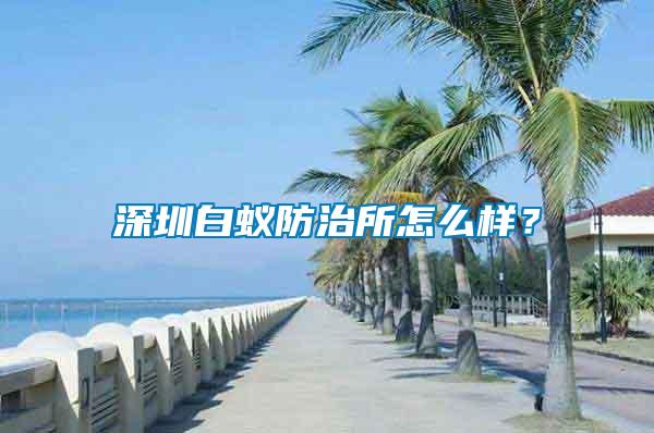 深圳白蟻防治所怎么樣？