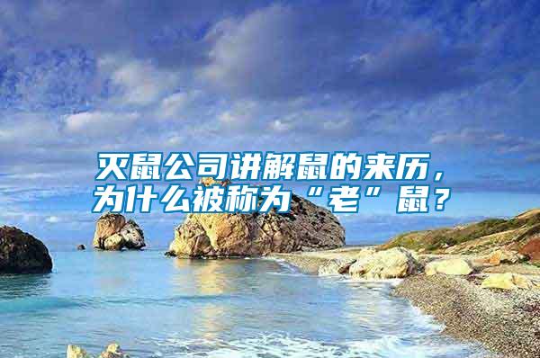 滅鼠公司講解鼠的來歷，為什么被稱為“老”鼠？