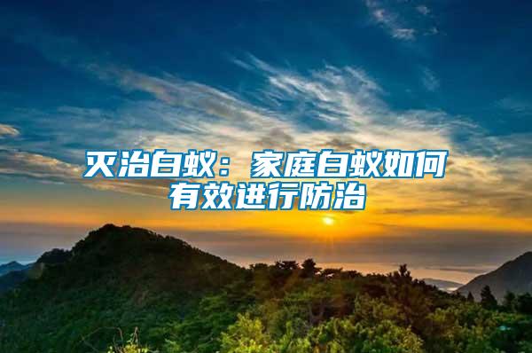 滅治白蟻：家庭白蟻如何有效進(jìn)行防治