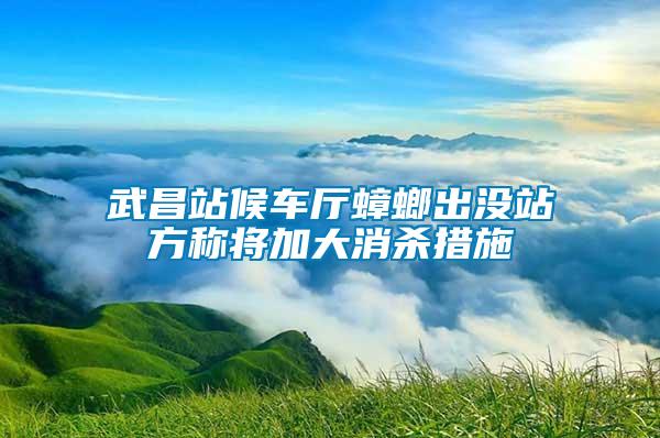 武昌站候車廳蟑螂出沒站方稱將加大消殺措施