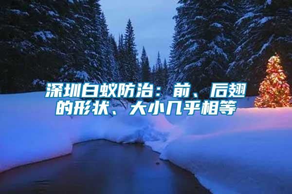 深圳白蟻防治：前、后翅的形狀、大小幾乎相等