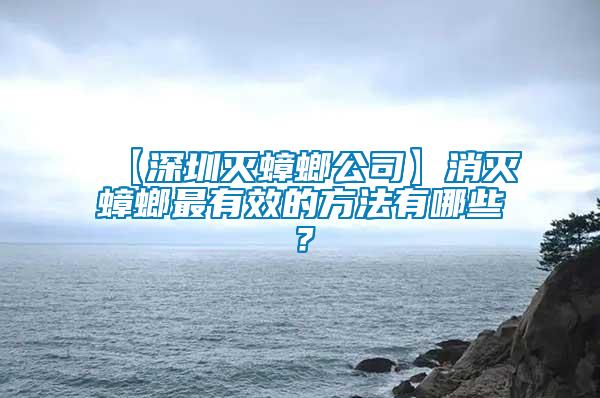 【深圳滅蟑螂公司】消滅蟑螂最有效的方法有哪些？