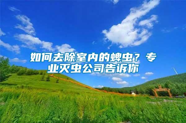 如何去除室內(nèi)的蜱蟲？專業(yè)滅蟲公司告訴你