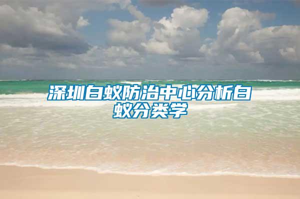 深圳白蟻防治中心分析白蟻分類學