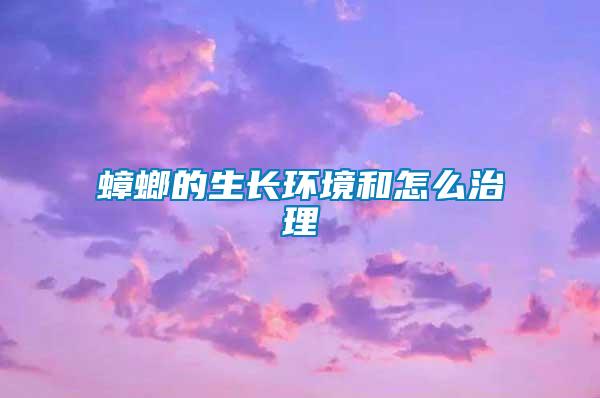 蟑螂的生長(zhǎng)環(huán)境和怎么治理