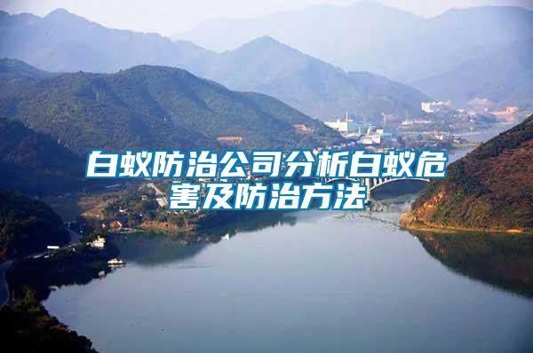 白蟻防治公司分析白蟻危害及防治方法