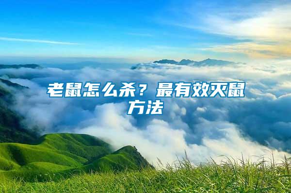 老鼠怎么殺？最有效滅鼠方法