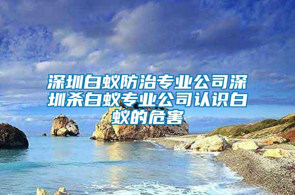 深圳白蟻防治專業(yè)公司深圳殺白蟻專業(yè)公司認(rèn)識白蟻的危害