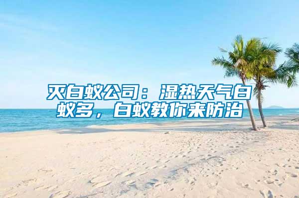 滅白蟻公司：濕熱天氣白蟻多，白蟻教你來防治