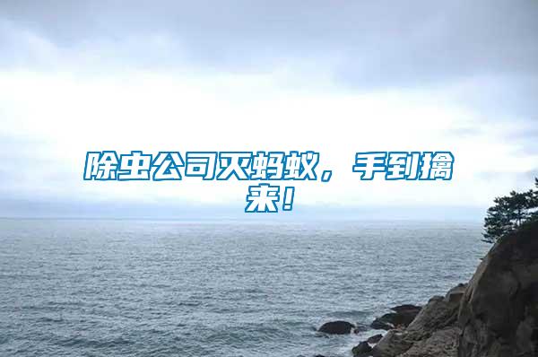 除蟲公司滅螞蟻，手到擒來！