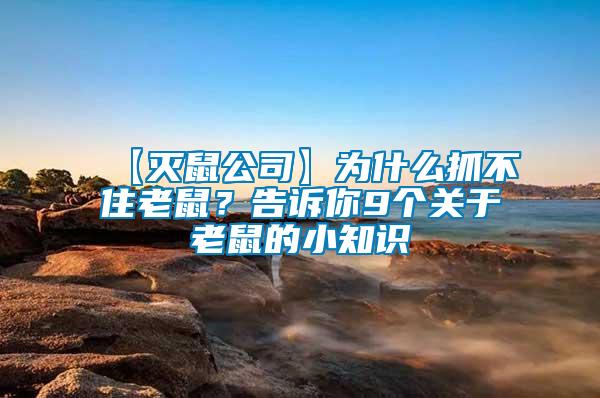 【滅鼠公司】為什么抓不住老鼠？告訴你9個關(guān)于老鼠的小知識