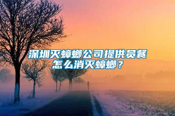 深圳滅蟑螂公司提供員餐怎么消滅蟑螂？