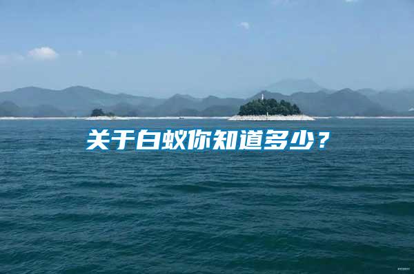 關(guān)于白蟻你知道多少？