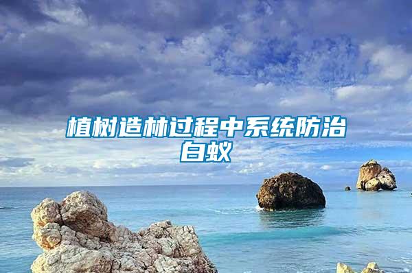 植樹造林過程中系統(tǒng)防治白蟻