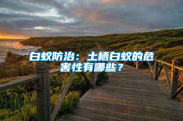 白蟻防治：土棲白蟻的危害性有哪些？