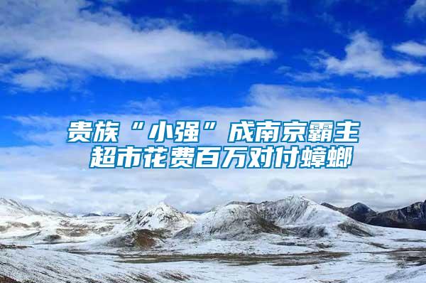 貴族“小強(qiáng)”成南京霸主 超市花費(fèi)百萬對(duì)付蟑螂