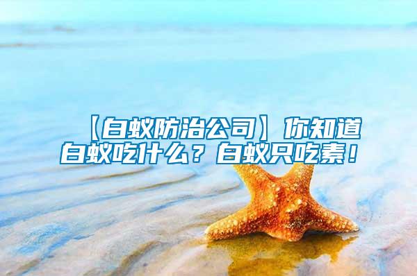 【白蟻防治公司】你知道白蟻吃什么？白蟻只吃素！