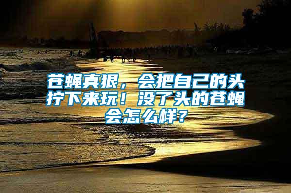 蒼蠅真狠，會(huì)把自己的頭擰下來(lái)玩！沒了頭的蒼蠅會(huì)怎么樣？