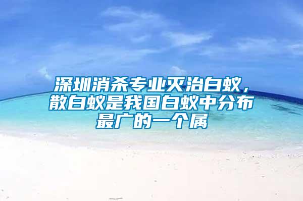 深圳消殺專業(yè)滅治白蟻，散白蟻是我國(guó)白蟻中分布最廣的一個(gè)屬