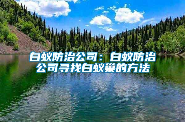 白蟻防治公司：白蟻防治公司尋找白蟻巢的方法