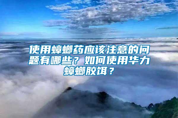 使用蟑螂藥應(yīng)該注意的問(wèn)題有哪些？如何使用華力蟑螂膠餌？