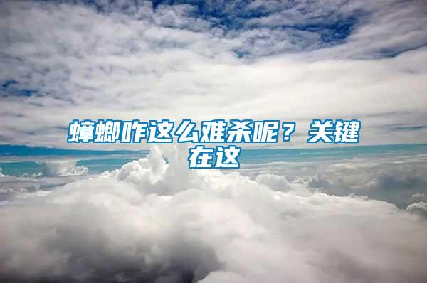 蟑螂咋這么難殺呢？關(guān)鍵在這