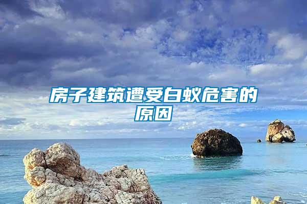 房子建筑遭受白蟻危害的原因