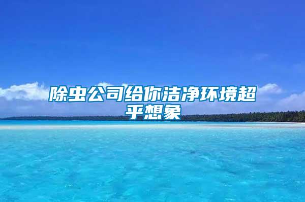 除蟲公司給你潔凈環(huán)境超乎想象