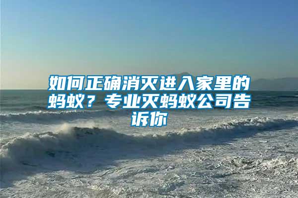 如何正確消滅進入家里的螞蟻？專業(yè)滅螞蟻公司告訴你