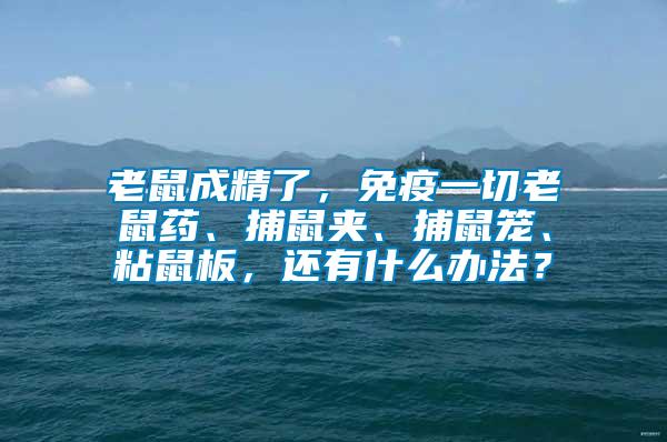 老鼠成精了，免疫一切老鼠藥、捕鼠夾、捕鼠籠、粘鼠板，還有什么辦法？