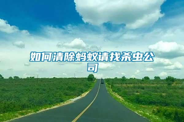 如何清除螞蟻請(qǐng)找殺蟲(chóng)公司