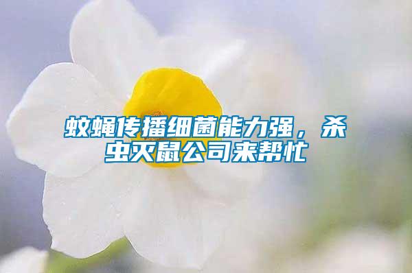 蚊蠅傳播細(xì)菌能力強，殺蟲滅鼠公司來幫忙