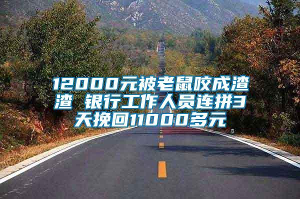 12000元被老鼠咬成渣渣 銀行工作人員連拼3天挽回11000多元