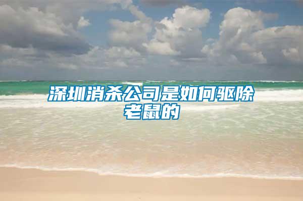 深圳消殺公司是如何驅(qū)除老鼠的