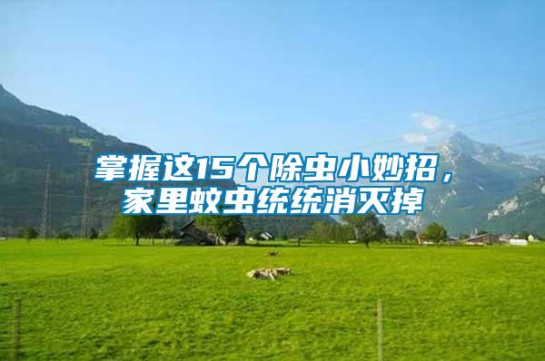 掌握這15個除蟲小妙招，家里蚊蟲統(tǒng)統(tǒng)消滅掉