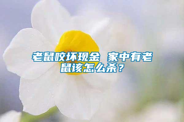 老鼠咬壞現(xiàn)金 家中有老鼠該怎么殺？