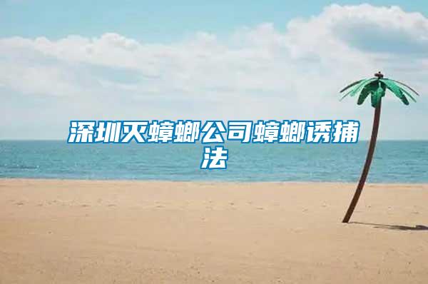 深圳滅蟑螂公司蟑螂誘捕法