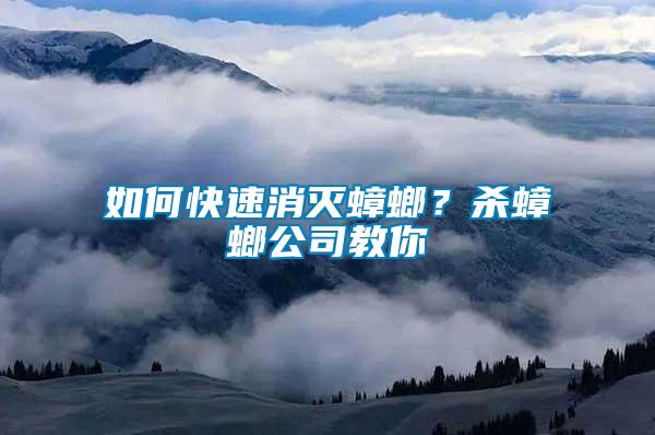 如何快速消滅蟑螂？殺蟑螂公司教你