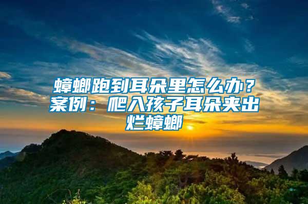 蟑螂跑到耳朵里怎么辦？案例：爬入孩子耳朵夾出爛蟑螂