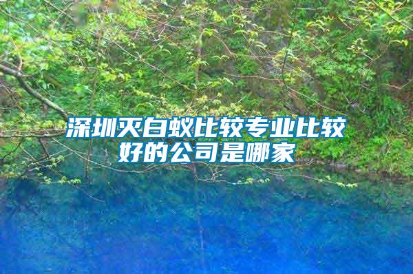 深圳滅白蟻比較專業(yè)比較好的公司是哪家