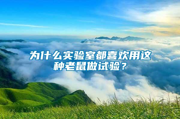 為什么實驗室都喜歡用這種老鼠做試驗？